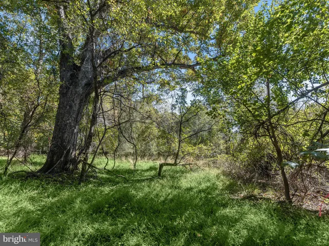 $210,000 | 2669 Roxbury Mls Road, Glenwood, MD 21738