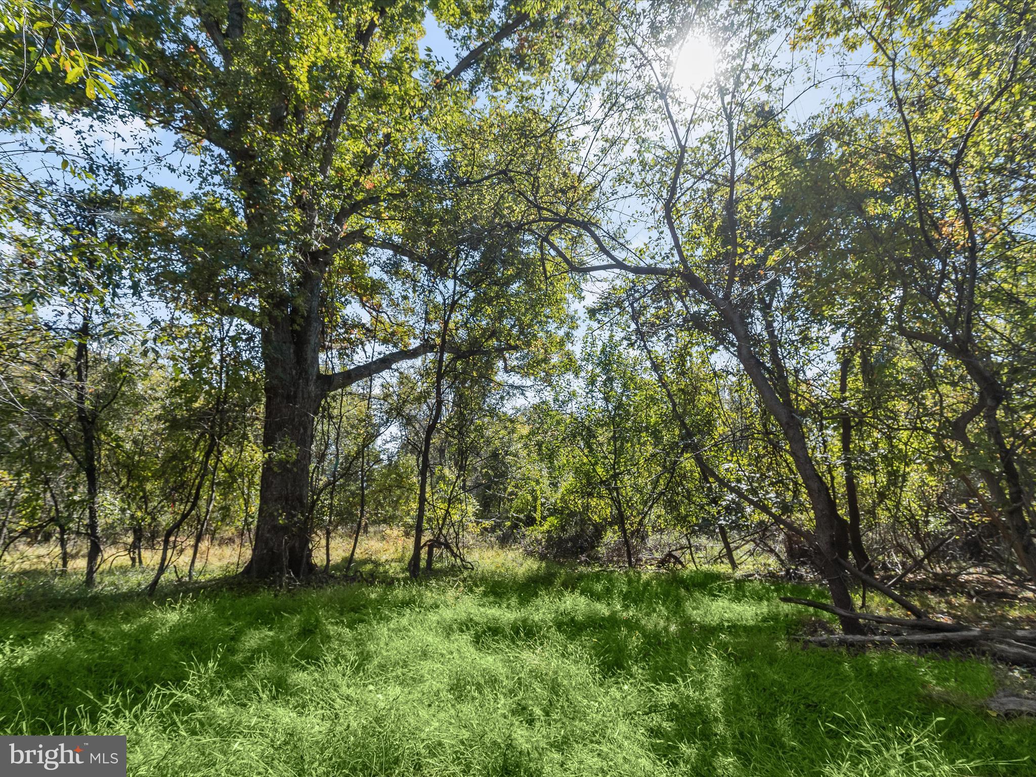 2669 Roxbury Mls Road Glenwood, MD 21738 - Photo 10 of 20 route97006