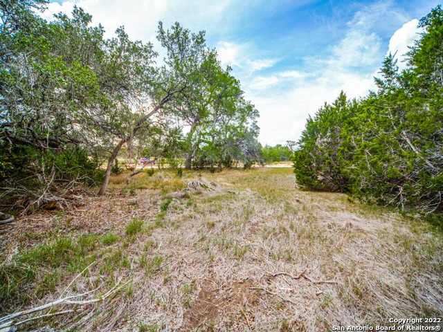 708 Sharp Spgs Road Bulverde, TX 78163 - Photo 8 of 17