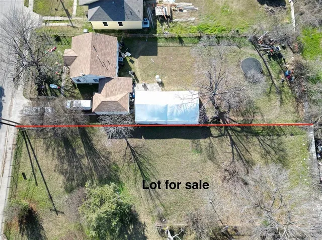 a view of a tree in a yard