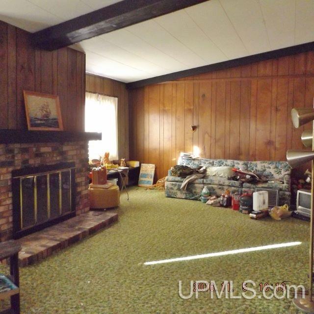 393 Baumgartner Road Iron River, MI 49935 - Photo 3 of 22