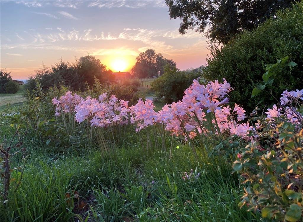 26550-26552 Waverly Road Paola, KS 66071 - Photo 3 of 16