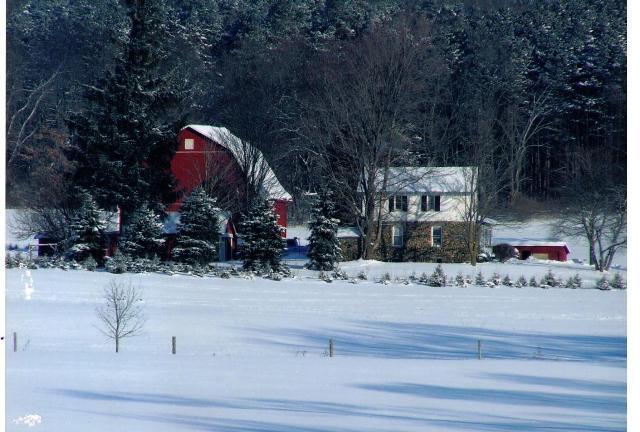 4631 Robertson Road Middleville, MI 49333 - Photo 16 of 16 Additional Photo