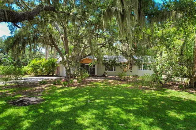 a view of a backyard with large trees