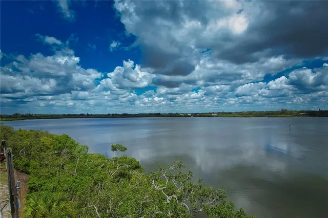 a view of a garden with a lake