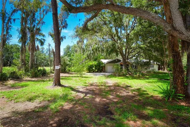 a view of a backyard with large trees