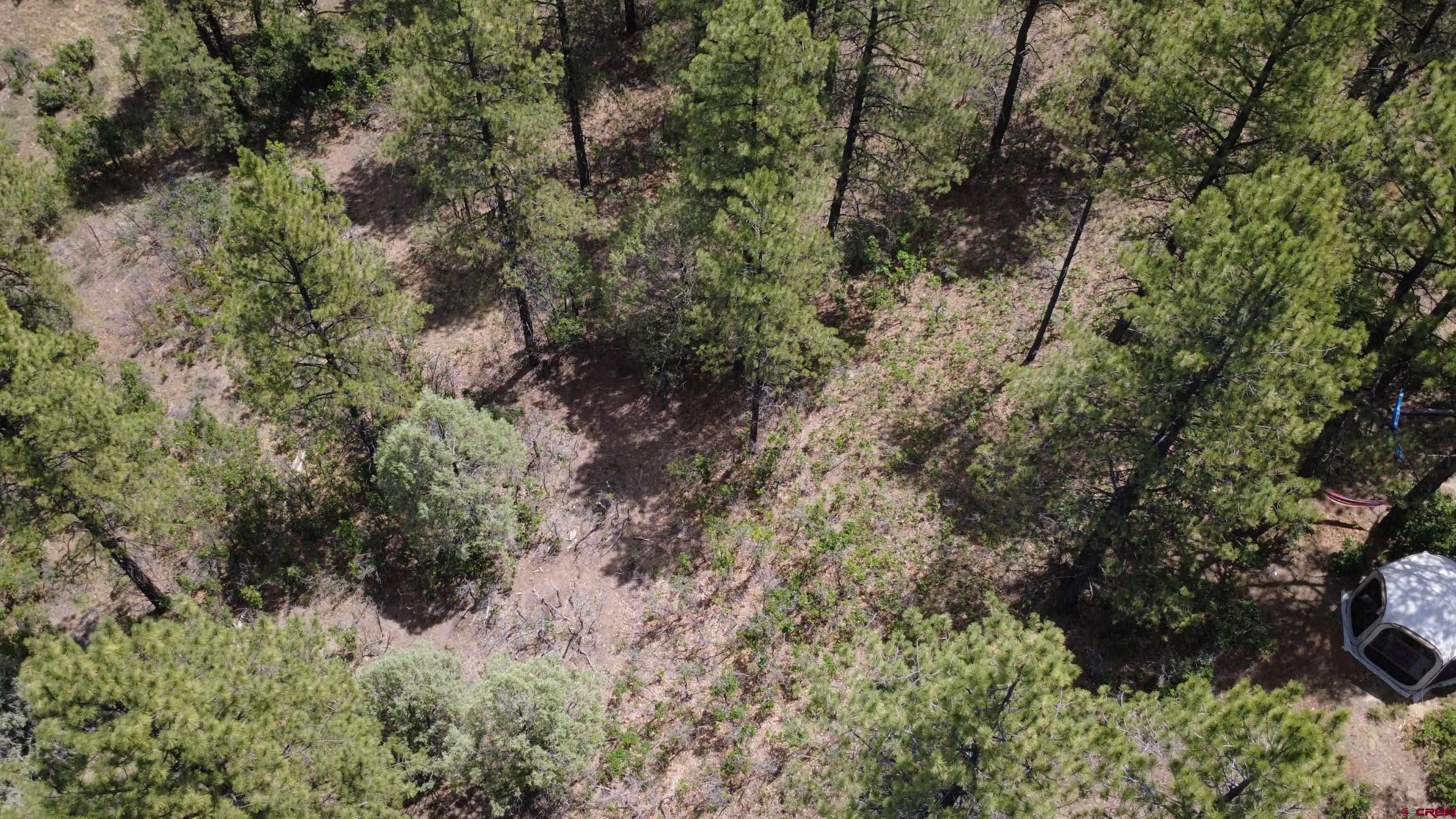 121 Engineer Point Pagosa Springs, CO 81147 - Photo 31 of 43