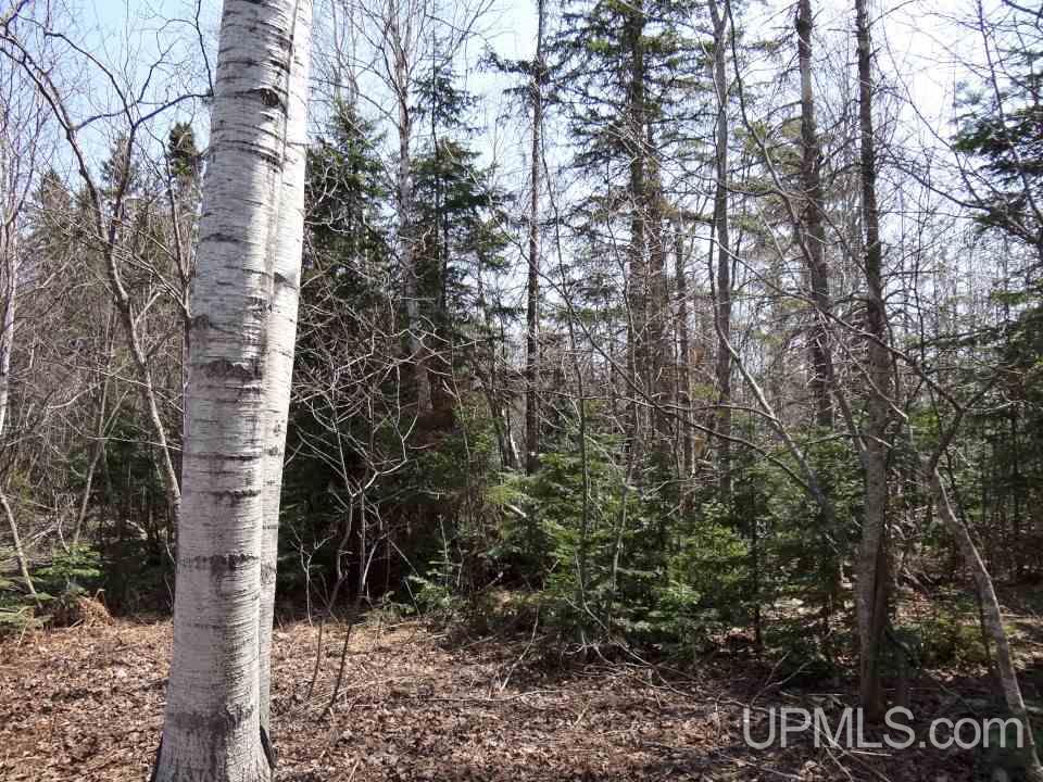 53502 Post Road Lake Linden, MI 49945 - Photo 12 of 36 Gallery Image 12