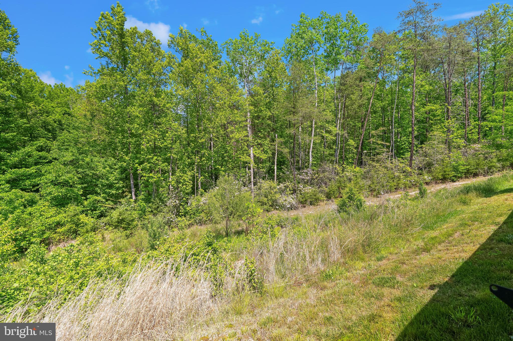 1275 Upper Patuxent Ridge Road Odenton, MD 21113 - Photo 88 of 107 PEACEFUL WOODED VIEWS