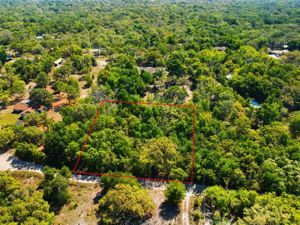 0 Coyote Road Hudson, FL 34669 - Photo 1 of 13