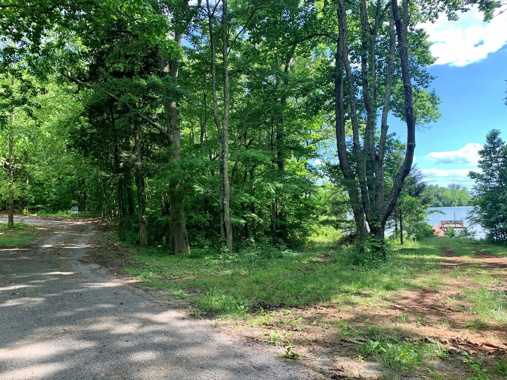 0 Red Cloud Trail Spring City, TN 37381 - Photo 46 of 49