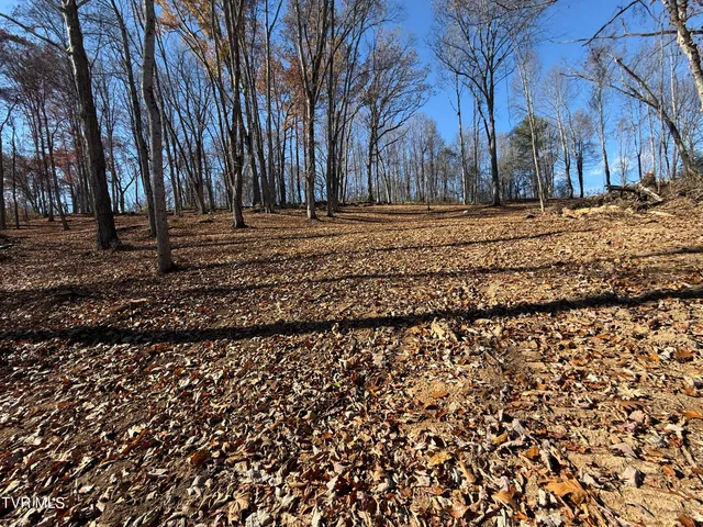 $84,900 | 0 Milligan Highway, Johnson City, TN 37601