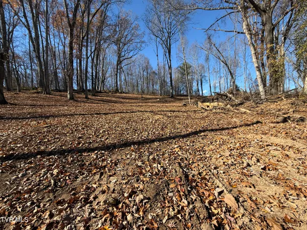 $84,900 | 0 Milligan Highway, Johnson City, TN 37601