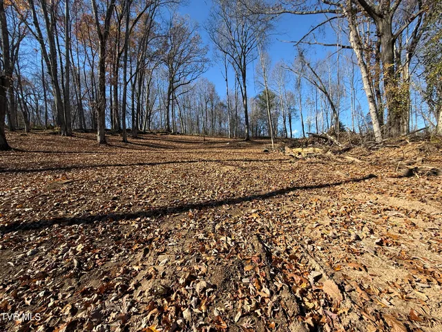 $84,900 | 0 Milligan Highway, Johnson City, TN 37601