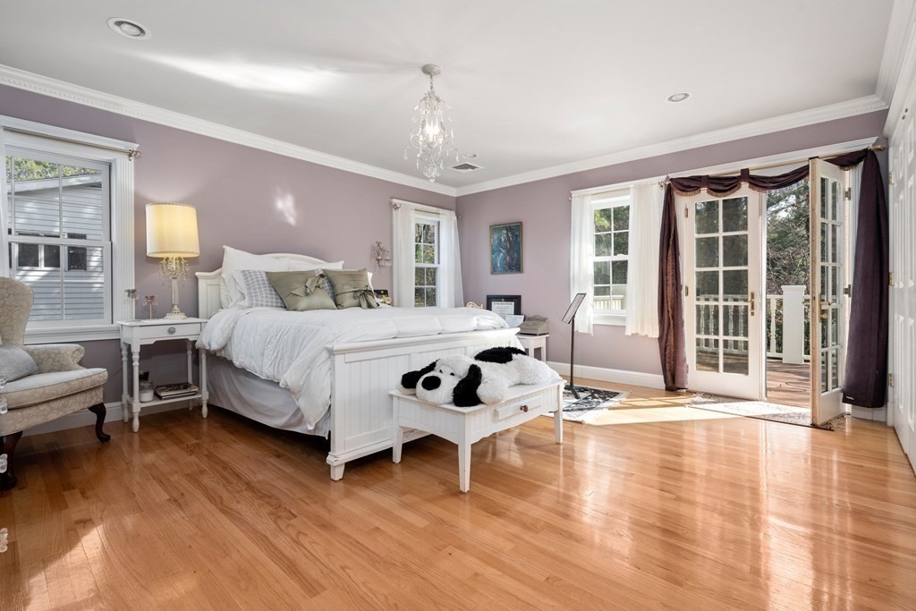 50 Woodfall Road Belmont, MA 02478 - Photo 20 of 30