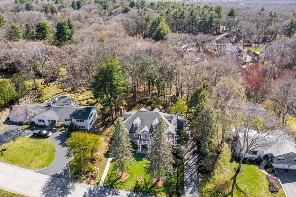 50 Woodfall Road Belmont, MA 02478 - Photo 4 of 30