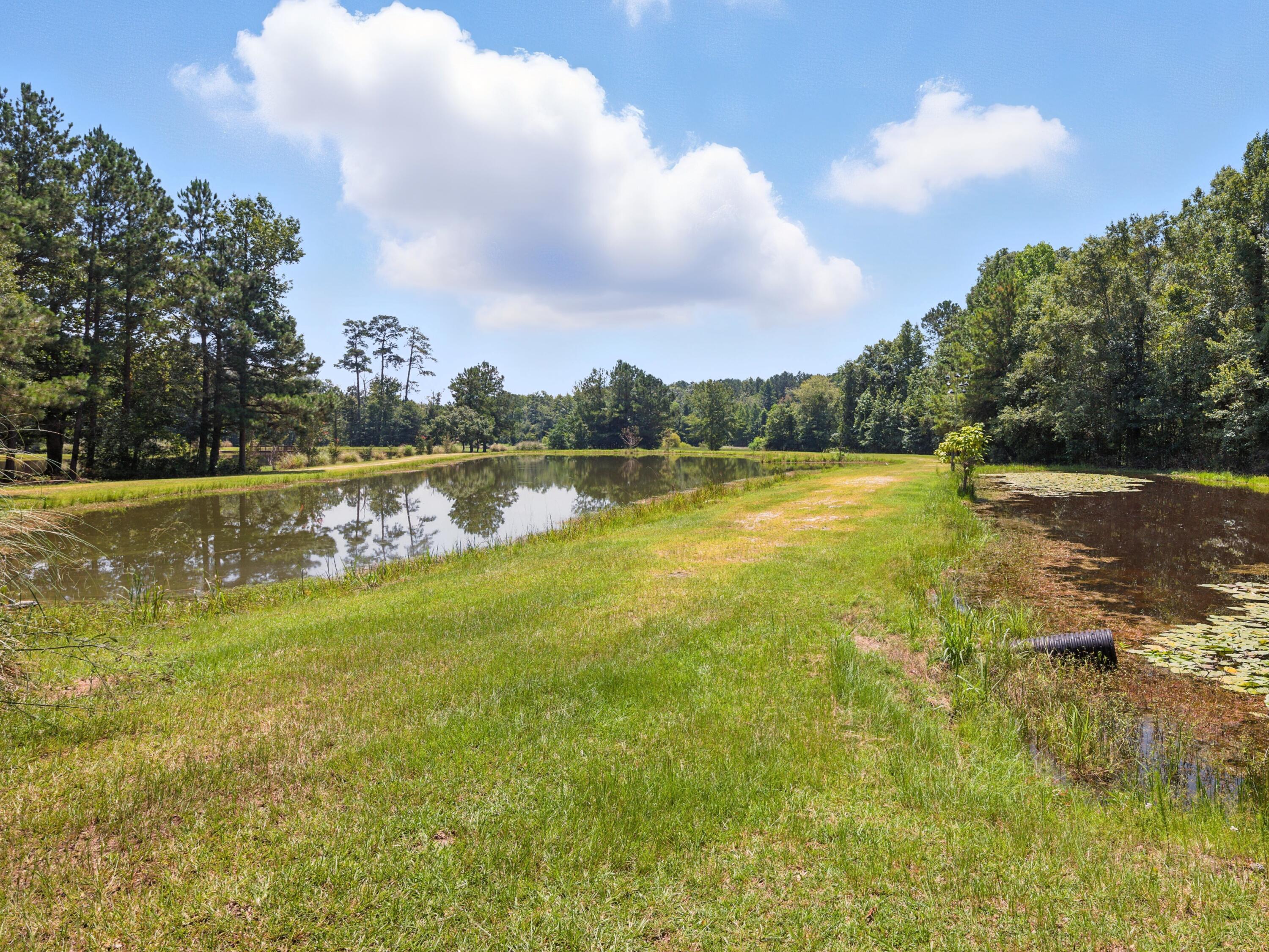 128 State Rd S-38-1893 Orangeburg, SC 29115 - Photo 24 of 24 Gallery Image 24