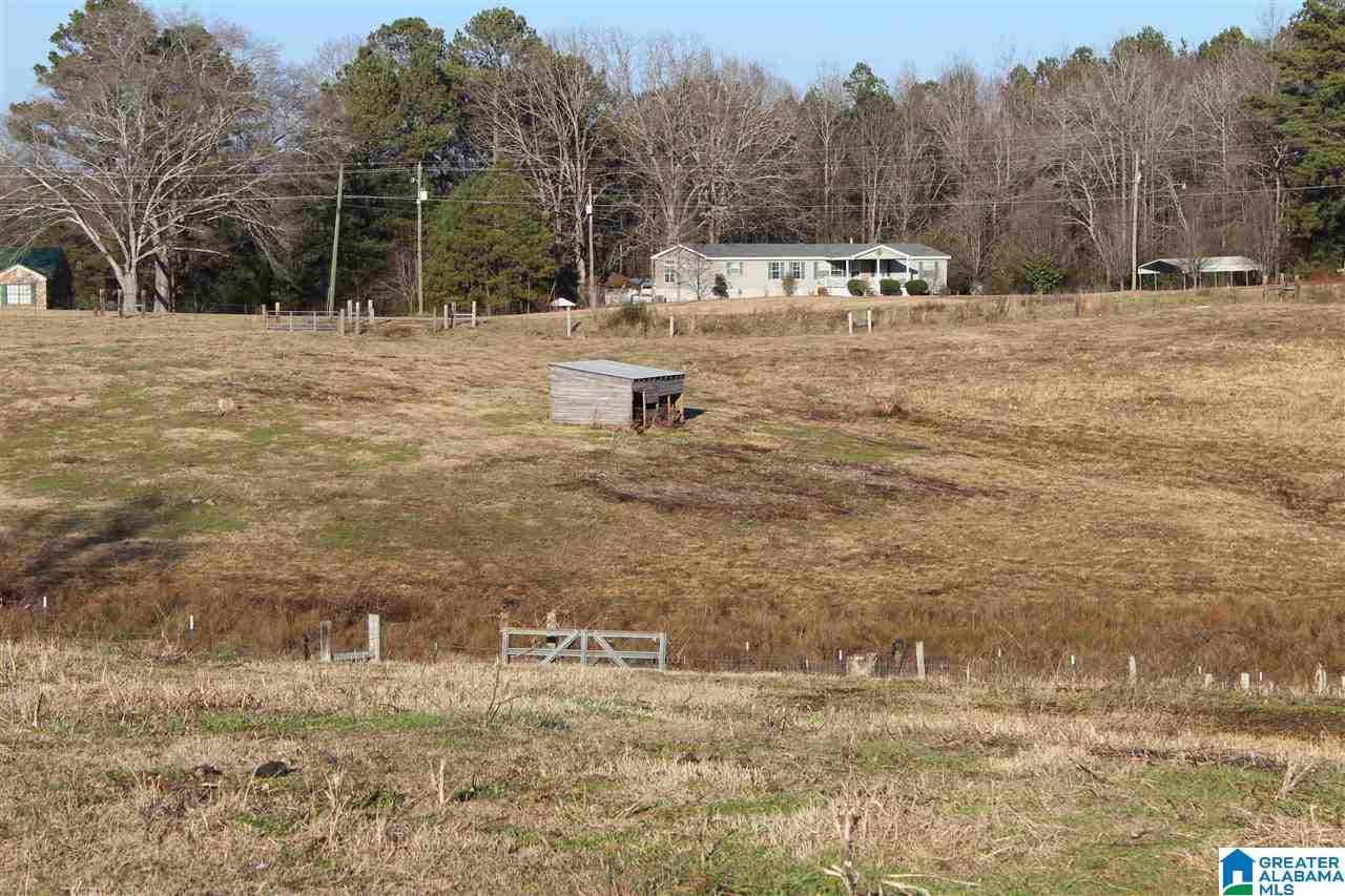 3601 Brookside Road Brilliant, AL 35548 - Photo 24 of 33