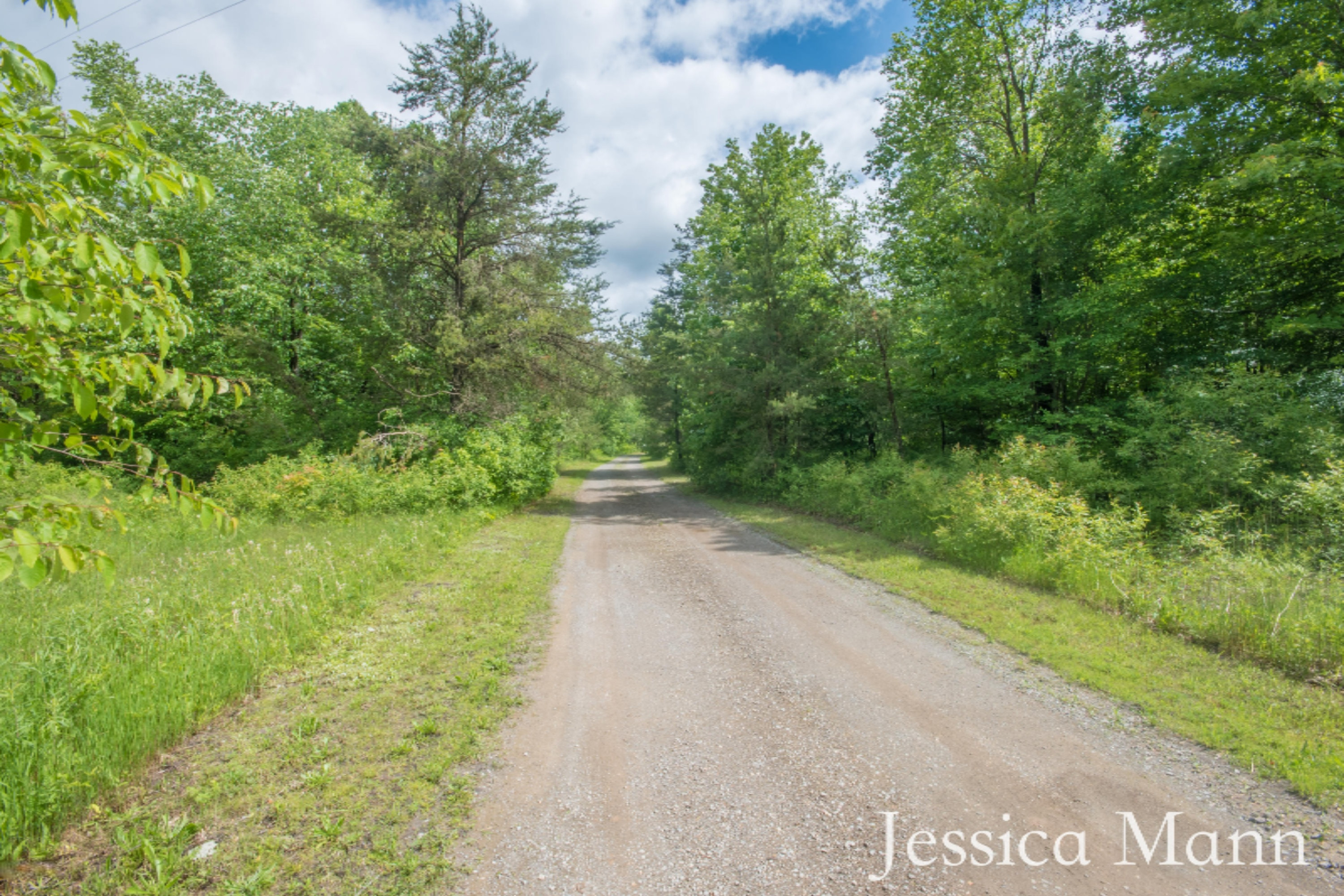 10857 Bailey Road Ravenna, MI 49451 - Photo 30 of 33 KHP_8335