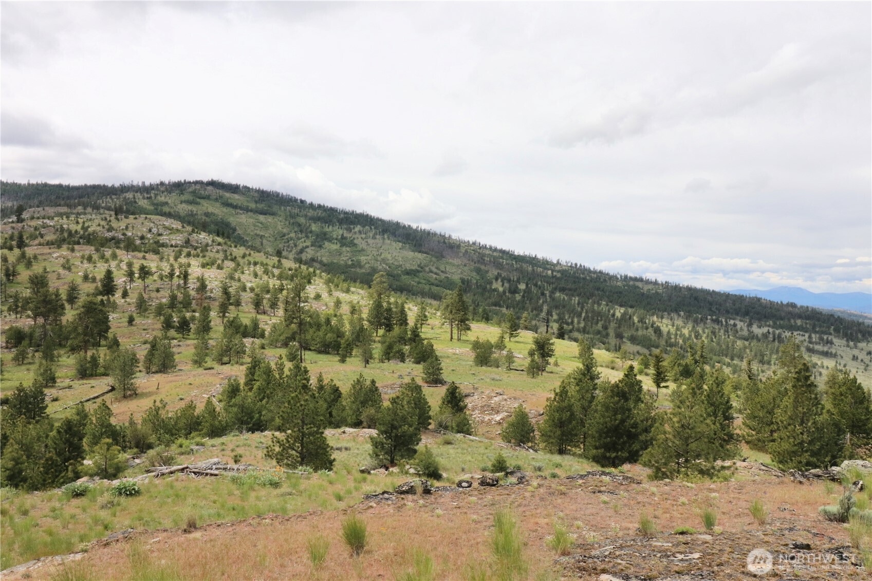 333 Patterson Creek Road Tonasket, WA 98855 - Photo 14 of 30 a view of a lake with mountains in the background