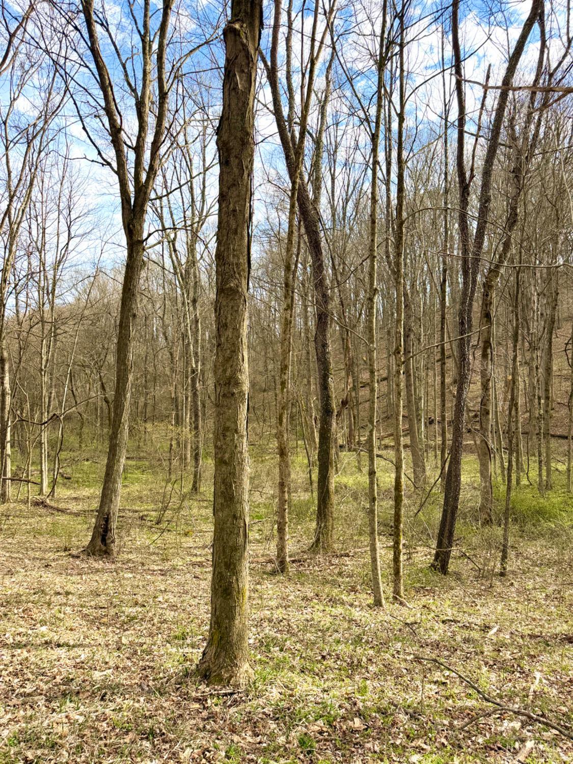 0 Fyffe Hollow Road Chillicothe, OH 45601 - Photo 18 of 96