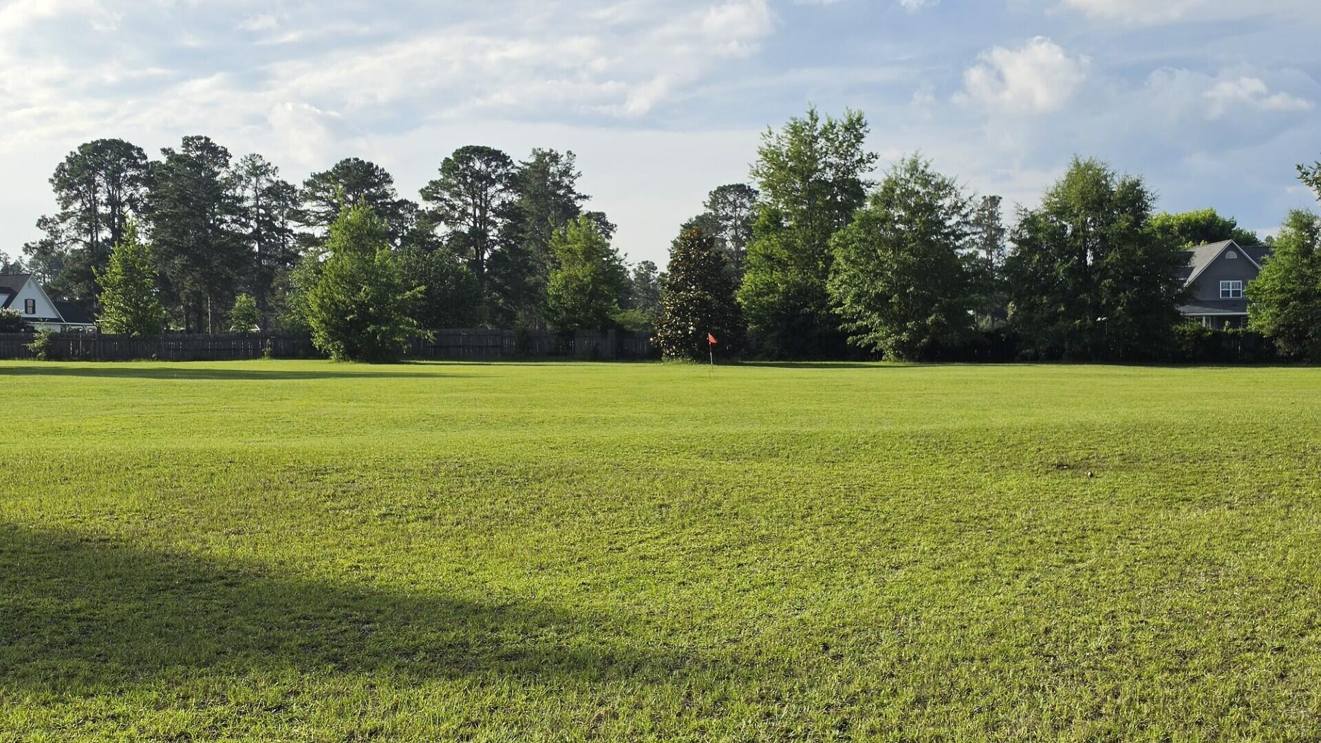 950 Brashum Road Aiken, SC 29803 - Photo 53 of 60