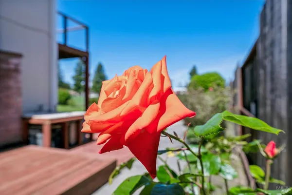 $879,000 | 4987 Fern Place, Rohnert Park, CA 94928