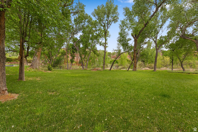 98 Bridge Road Rockville, UT 84763 - Photo 57 of 75 Backyard – Lawn & Riverfront Setting