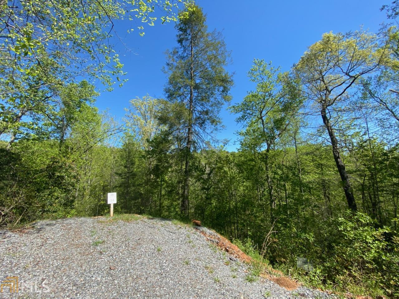 0 Staurolite Mountain Road, Unit LOT 14 Blue Ridge, GA 30513 - Photo 1 of 1 a view of a road with plants and a building