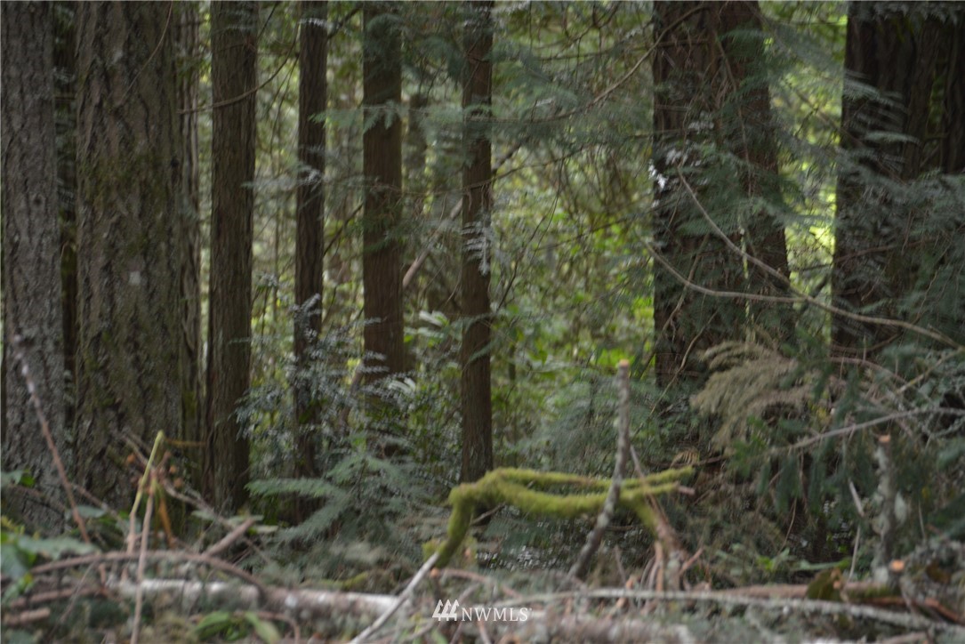 0 Old Military Road Northeast Poulsbo, WA 98370 - Photo 1 of 1 Gallery Image 1