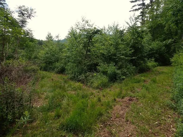 $387,000 | 0 Marshall Phillips Road, Brandon, VT 05733