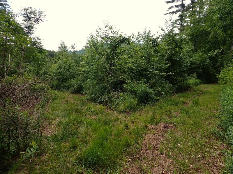 0 Marshall Phillips Road Brandon, VT 05733 - Photo 11 of 27