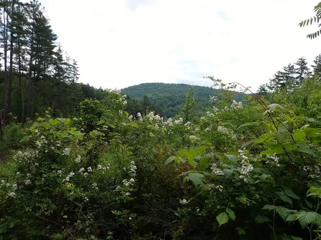 $387,000 | 0 Marshall Phillips Road, Brandon, VT 05733