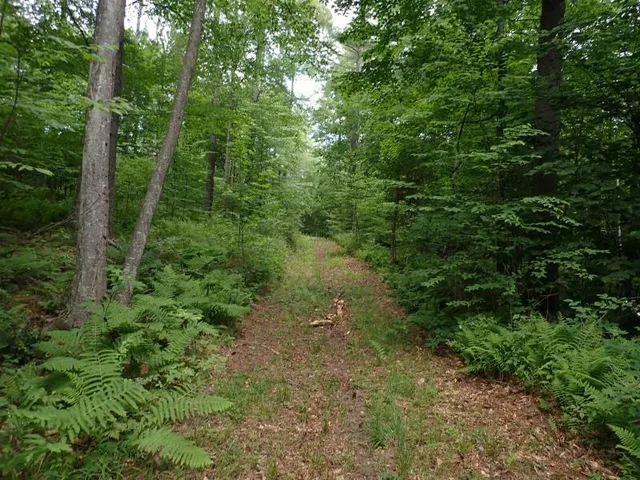 $387,000 | 0 Marshall Phillips Road, Brandon, VT 05733