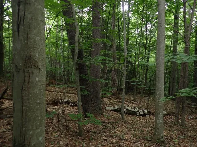 $387,000 | 0 Marshall Phillips Road, Brandon, VT 05733