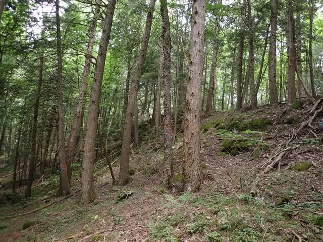 $387,000 | 0 Marshall Phillips Road, Brandon, VT 05733