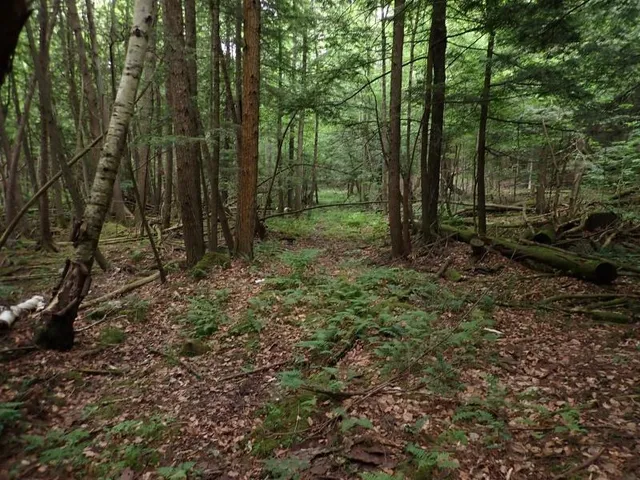 $387,000 | 0 Marshall Phillips Road, Brandon, VT 05733