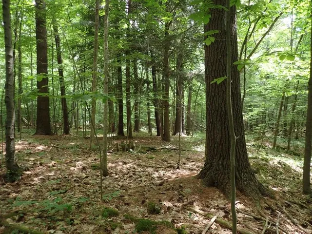 $387,000 | 0 Marshall Phillips Road, Brandon, VT 05733