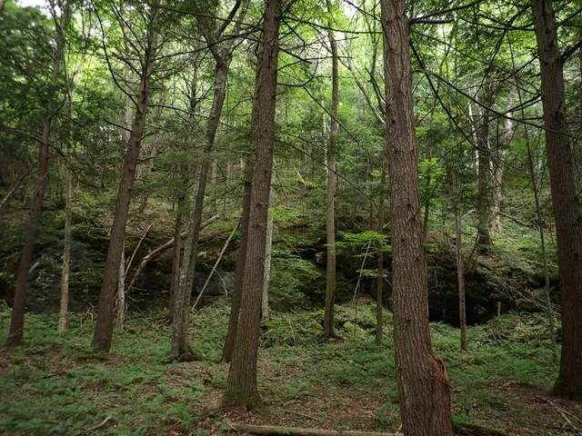 $387,000 | 0 Marshall Phillips Road, Brandon, VT 05733