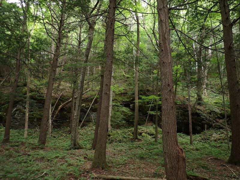 0 Marshall Phillips Road Brandon, VT 05733 - Photo 18 of 27