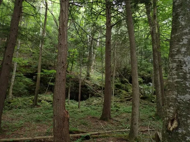 $387,000 | 0 Marshall Phillips Road, Brandon, VT 05733