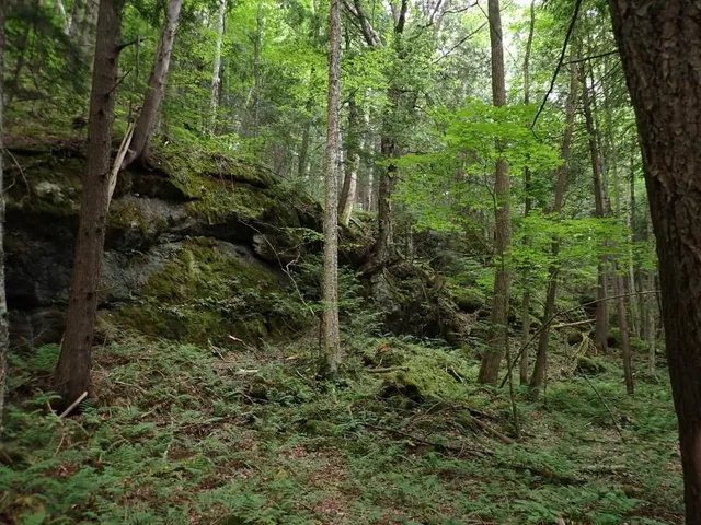 $387,000 | 0 Marshall Phillips Road, Brandon, VT 05733