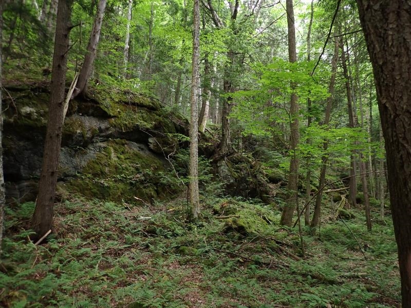 0 Marshall Phillips Road Brandon, VT 05733 - Photo 20 of 27