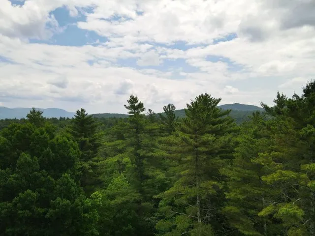 $387,000 | 0 Marshall Phillips Road, Brandon, VT 05733