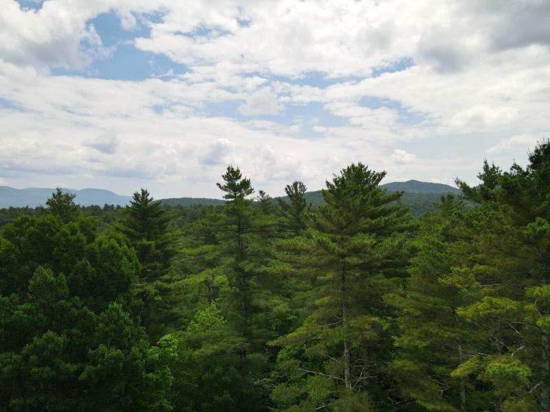 0 Marshall Phillips Road Brandon, VT 05733 - Photo 2 of 27