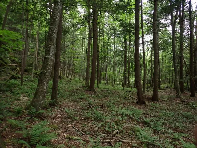 $387,000 | 0 Marshall Phillips Road, Brandon, VT 05733