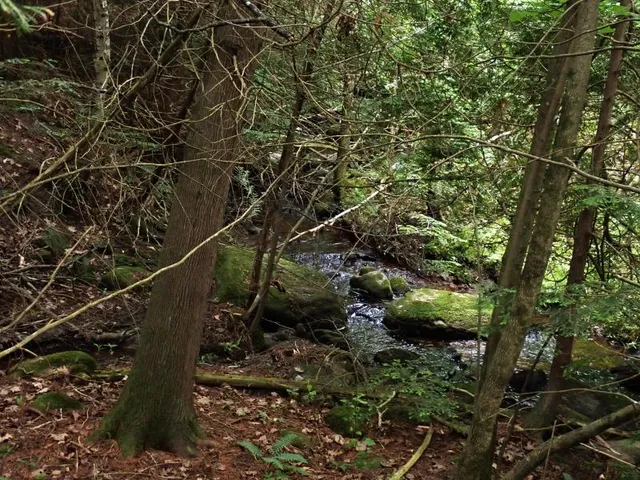 $387,000 | 0 Marshall Phillips Road, Brandon, VT 05733