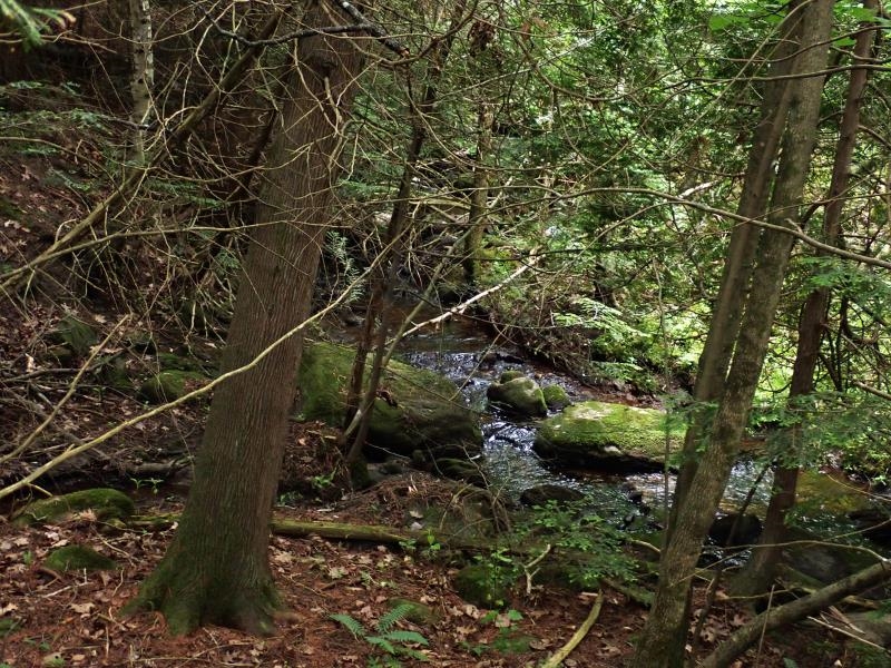 0 Marshall Phillips Road Brandon, VT 05733 - Photo 25 of 27