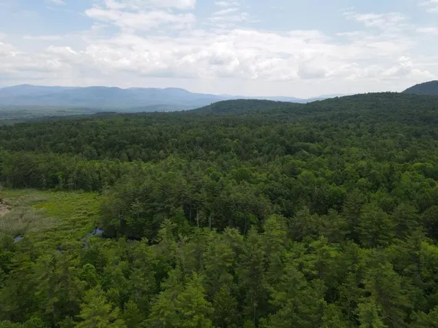 $387,000 | 0 Marshall Phillips Road, Brandon, VT 05733