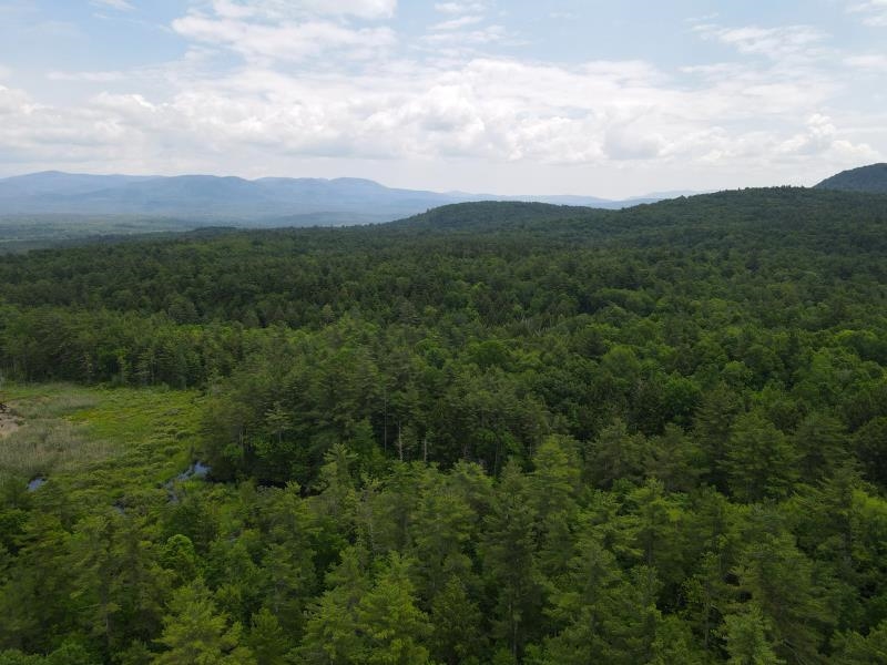 0 Marshall Phillips Road Brandon, VT 05733 - Photo 3 of 27